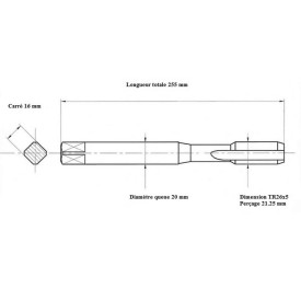 Taraud machine TRAPEZE TR26x5