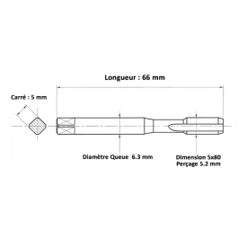 Taraud filets rapportés 5x80