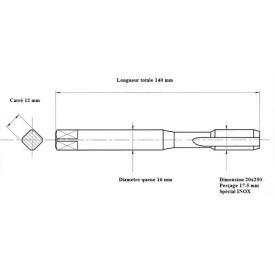 Taraud INOX métrique 20x250