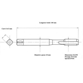 Taraud INOX métrique 22x250