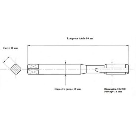Taraud machine métrique fin 20x200