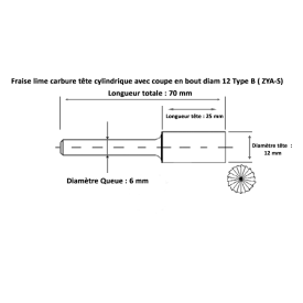 Fraise lime carbure tête cylindrique avec coupe en bout diam 12 Type B ( ZYA-S)
