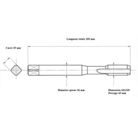 Taraud machine métrique fin 45x200 Performance