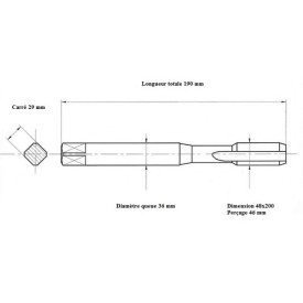 Taraud machine métrique fin 48x200 Performance