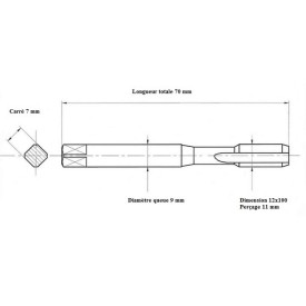 Jeu 2 tarauds métrique fin 12x100