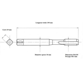 Taraud machine métrique fin 50x150 Performance