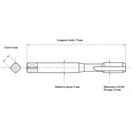 Jeu 2 tarauds métrique fin 13x100