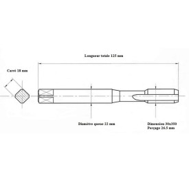 Jeu 3 tarauds métrique 30x350