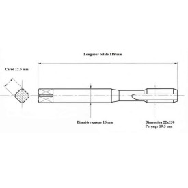 Taraud machine métrique 22x250