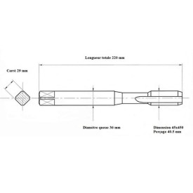 Taraud machine métrique 45x450 Performance