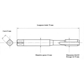 Jeu 2 tarauds métrique fin 16x125
