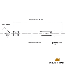 Taraud machine métrique 20x250