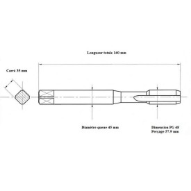 Taraud machine électrique PG 48
