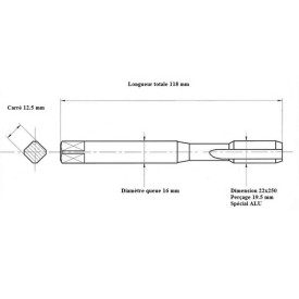 Taraud pas métrique filets alternés 22x250 ALU