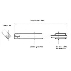 Taraud machine TRAPEZE TR10x2