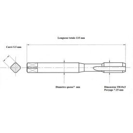 Taraud machine TRAPEZE TR10x3