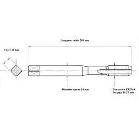 Taraud machine TRAPEZE TR20x4